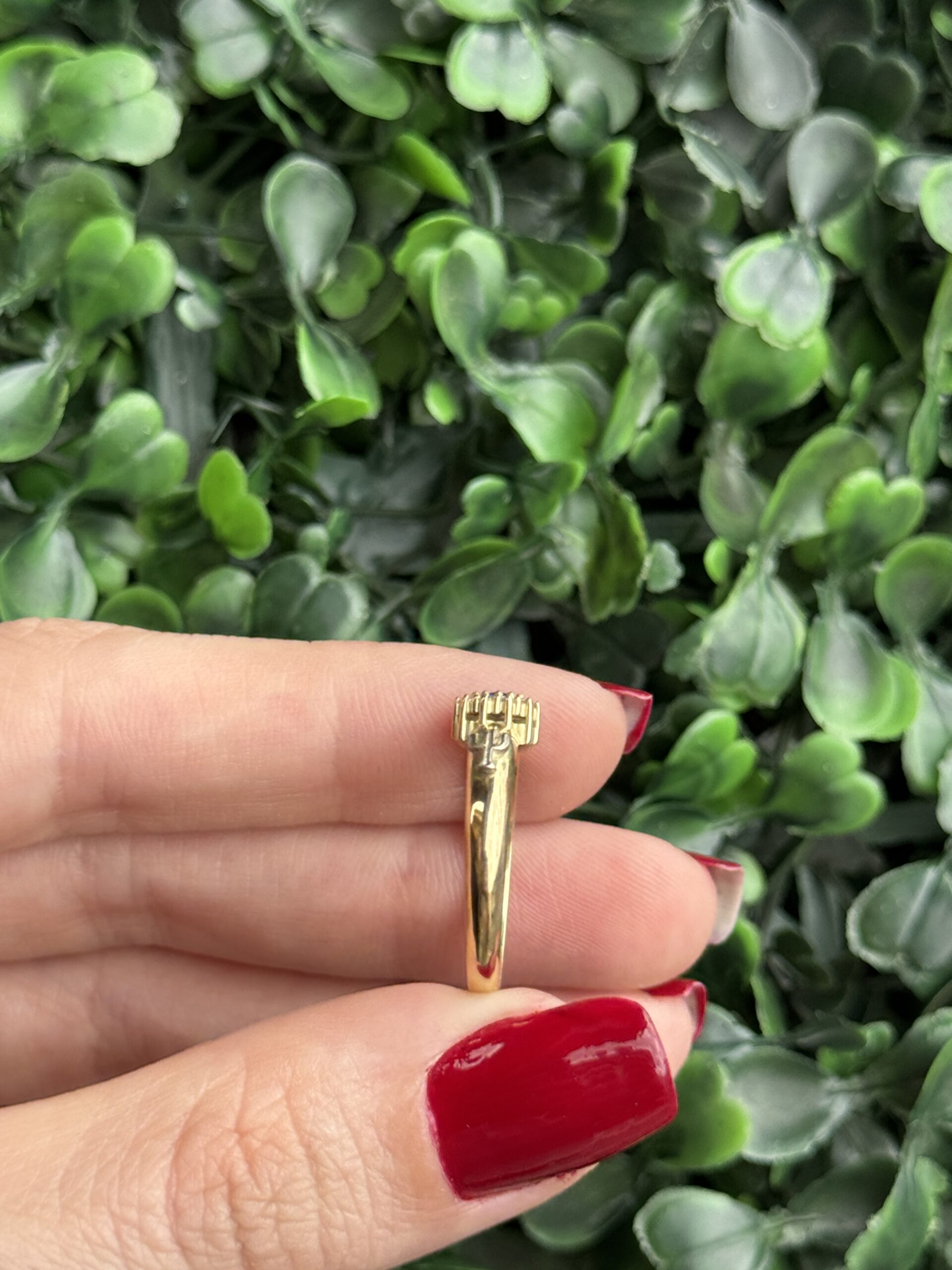 Anéis formatura ouro - Imagem 5