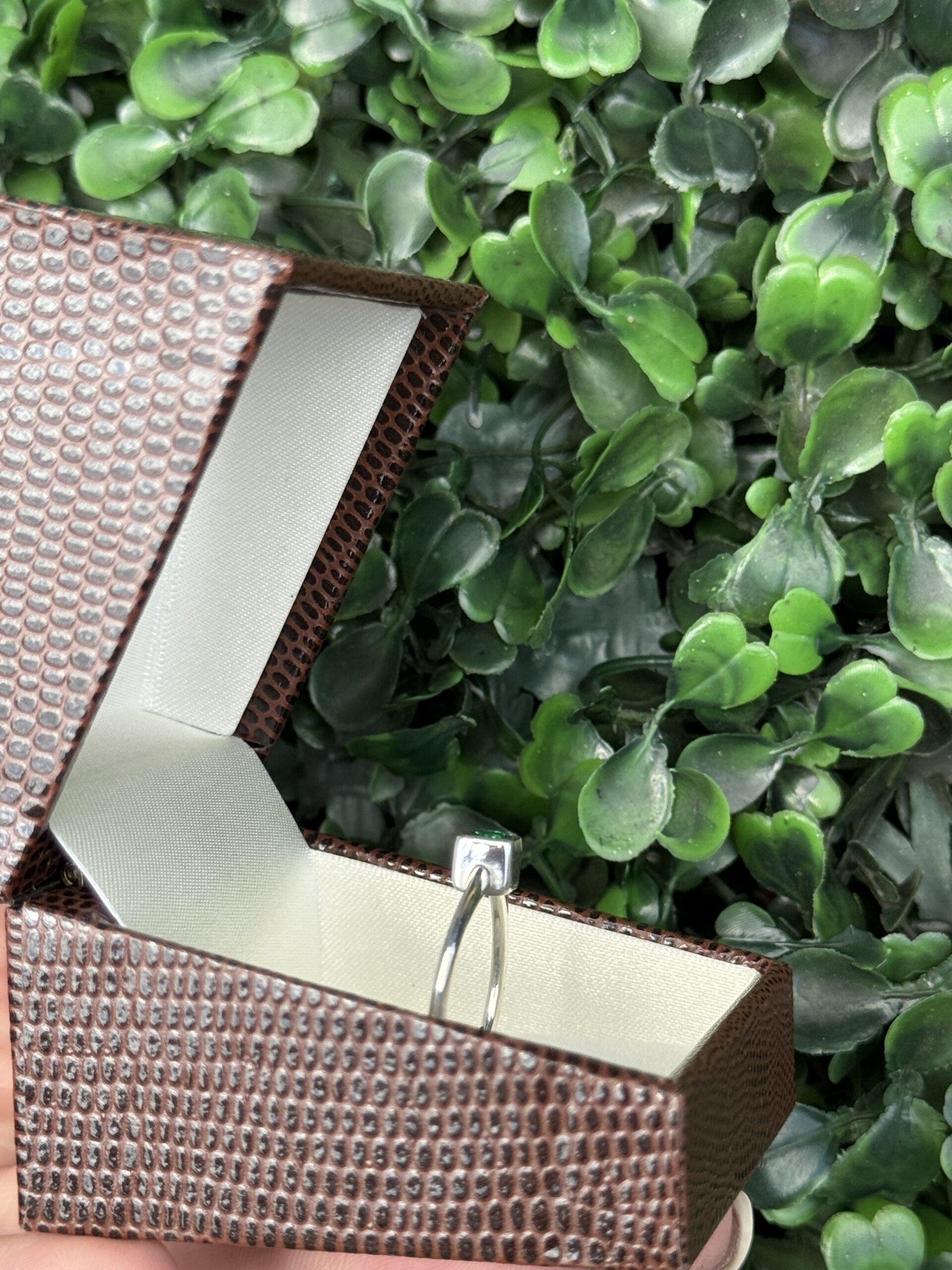 Anel de formatura em prata - Imagem 4